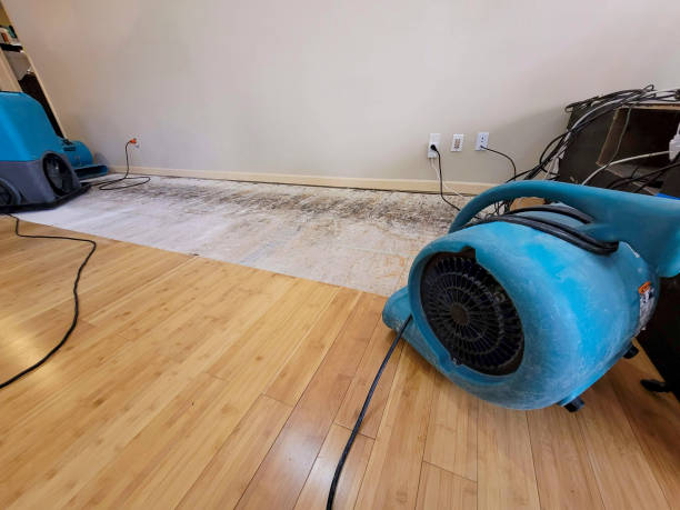 Professional Water Extraction technician working in Lincoln Park, NJ